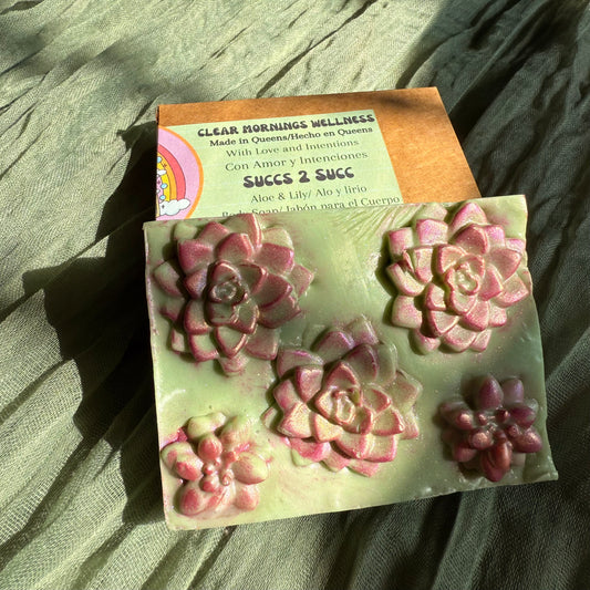 Succs 2 Succ